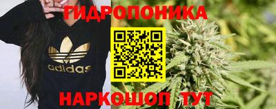 прущие грибы Малгобек