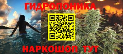 прущие грибы Малгобек