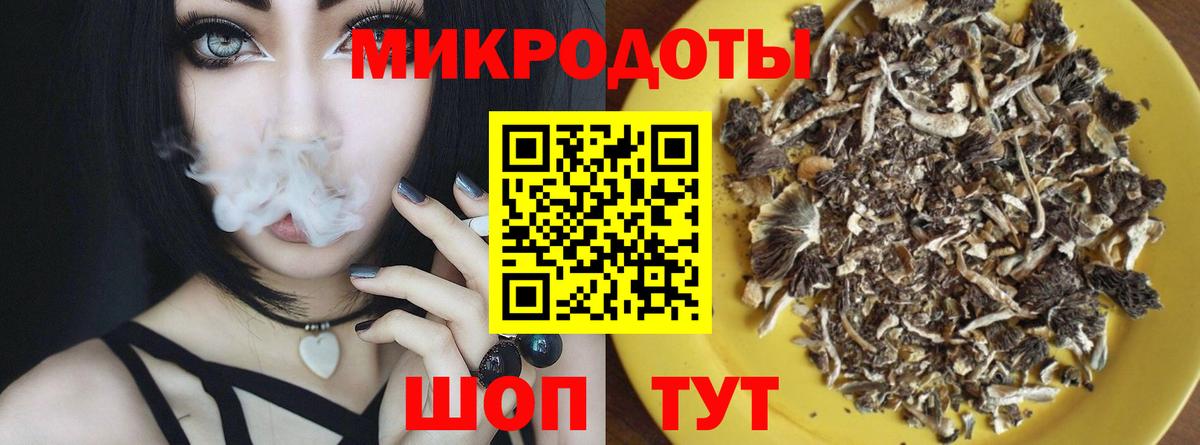 Псилоцибиновые грибы Psilocybine cubensis  Галлюциногенные грибы Psilocybe  Серов  Вход с VPN 